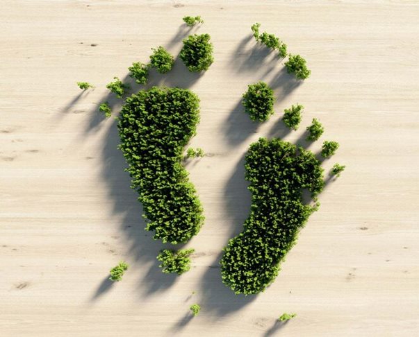 Green footprints